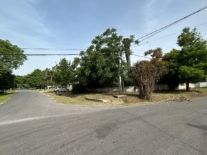 WhatsApp Image 2025-11-20 at 14.03.24